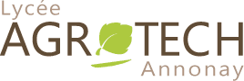 logo-site